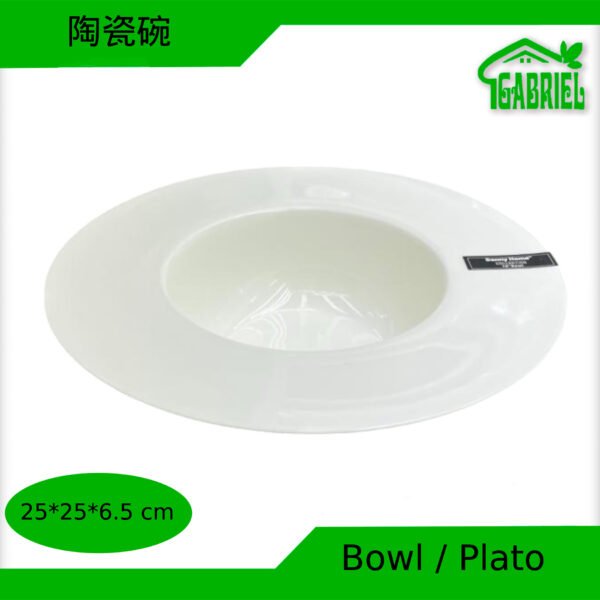 Bowl Plato de Cerámica 25x25x6.5 cm