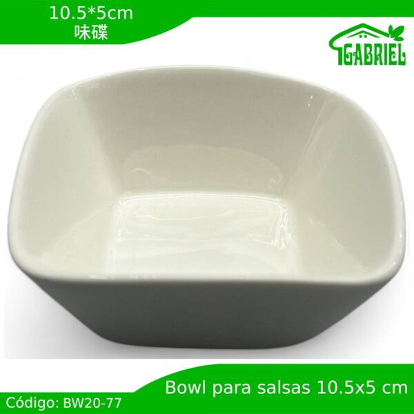 10.5*5 cm/味碟/Plato para salsa