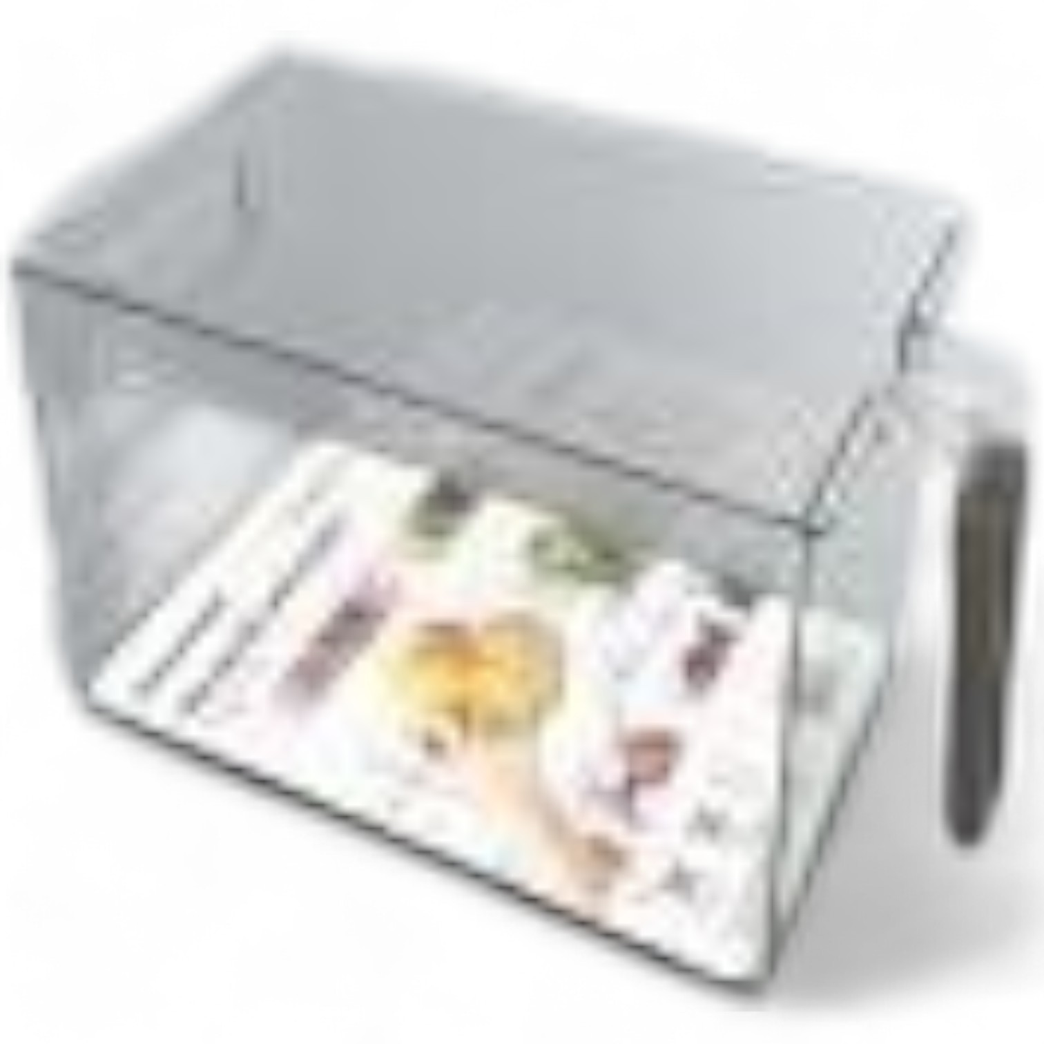 Caja de Almacenamiento con Manilla y Tapa para Refrigerador 29x17x11 cm