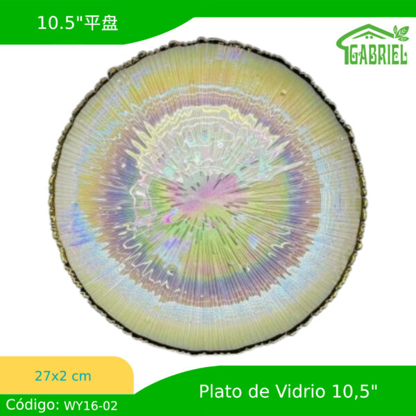 Plato Moderno para Sopas Diseño Vidrioso 27x2 cm