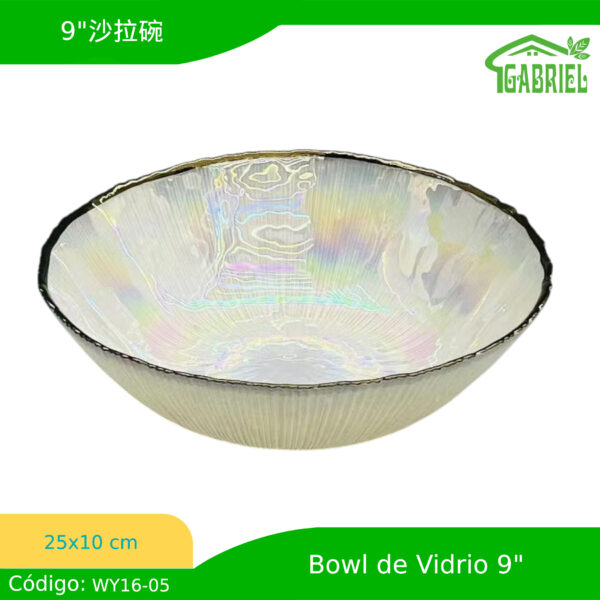 Bowl de Vidrio Moderno 25x10 cm