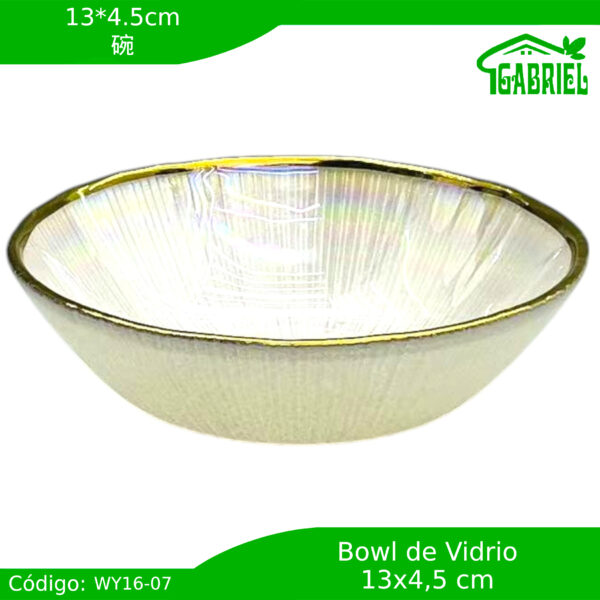 Bowl de Porcelana Vidrio Diseño Vidrioso 13x4.5 cm