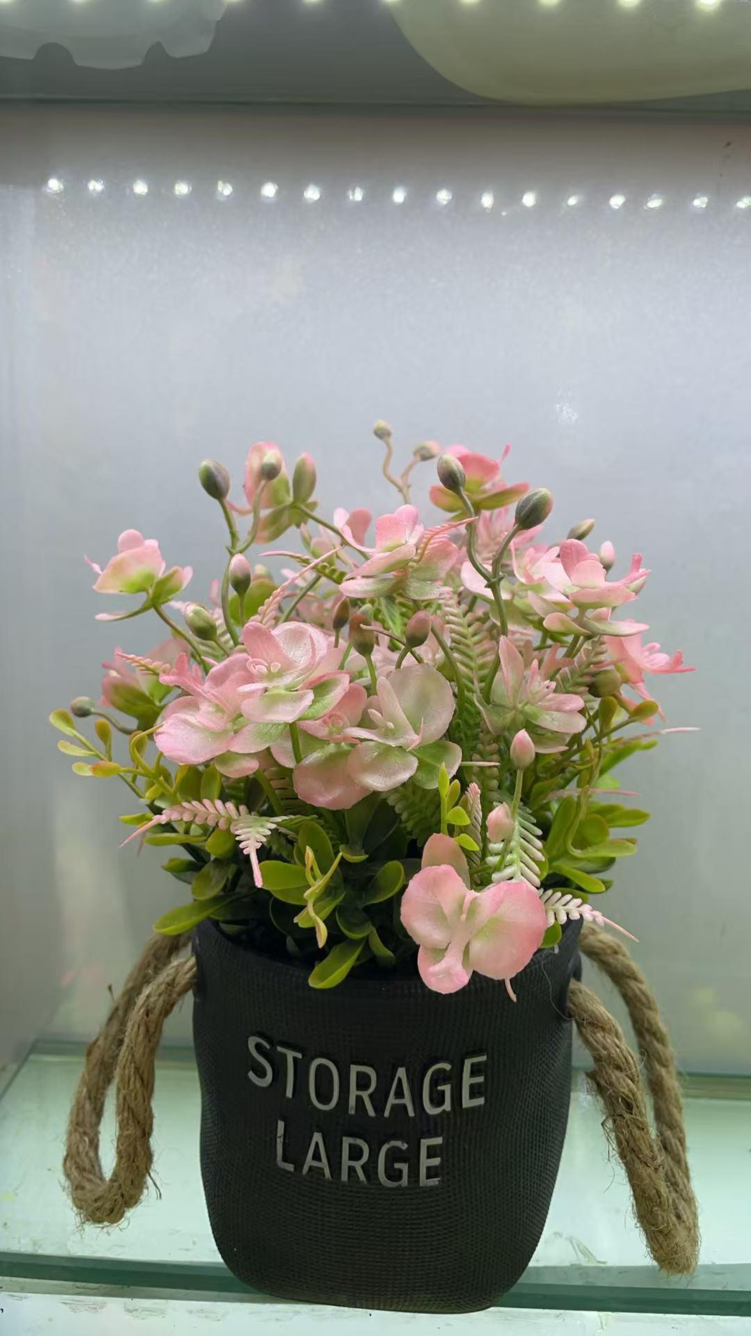 耳朵绳盆蝴蝶兰MACETA DE PLASTICO