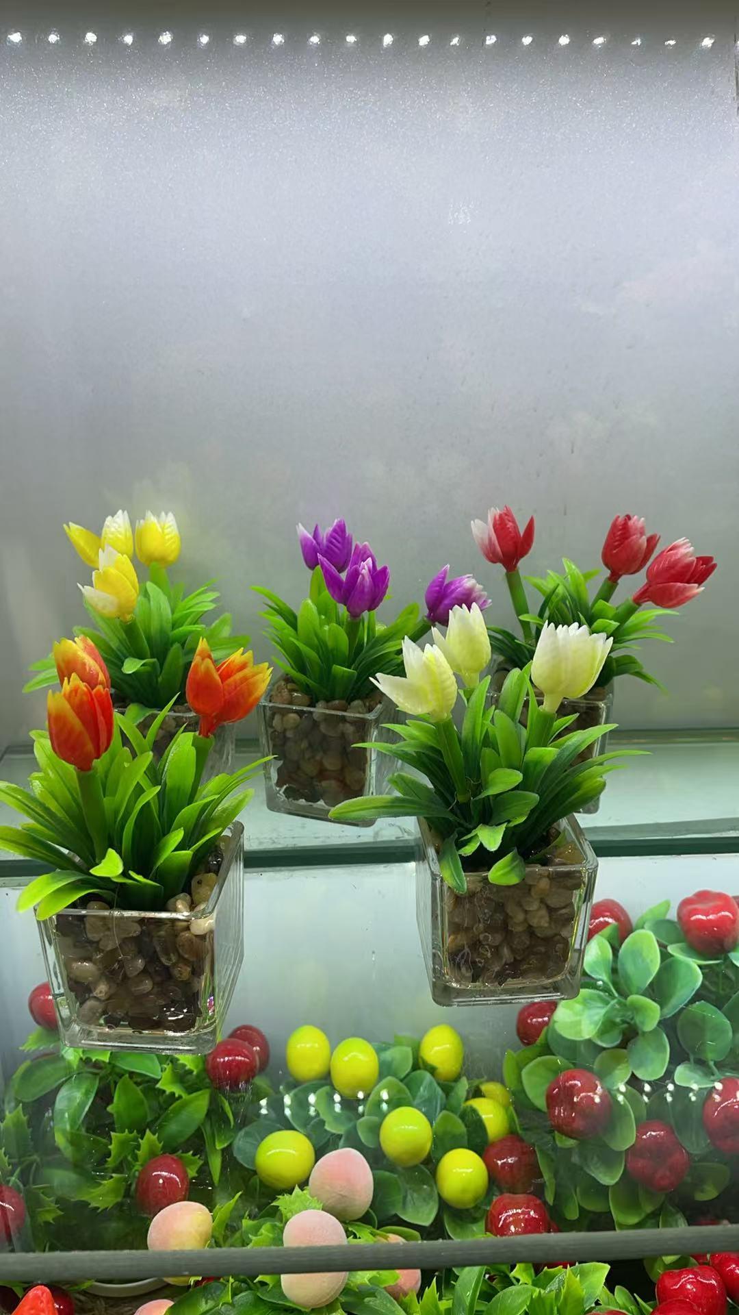 玻璃盆郁金香MACETA DE PLASTICO