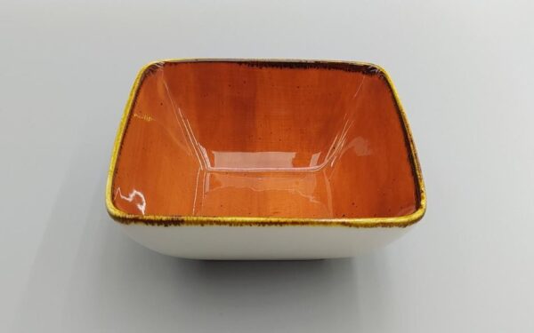 19.3*19.3*7cm，碗/Tazón