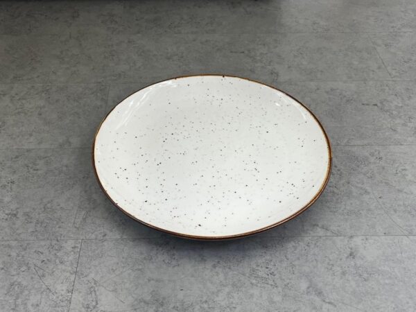 30.2*30.2*2.5cm，盘/Plato
