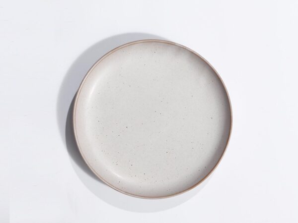 20*2.5cm，盘/Plato