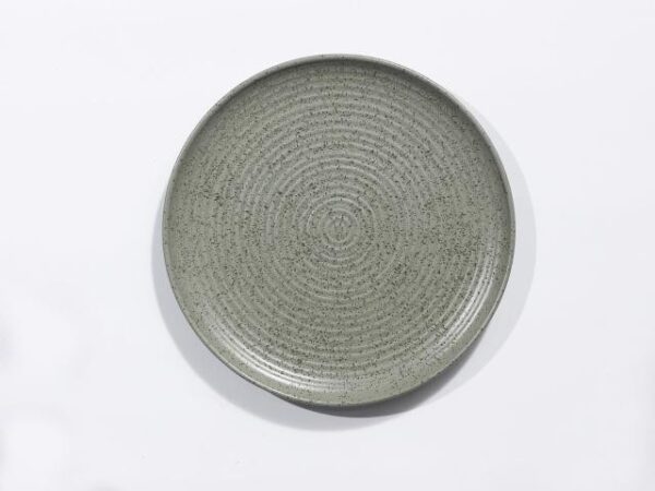 20.5*2cm，盘/Plato