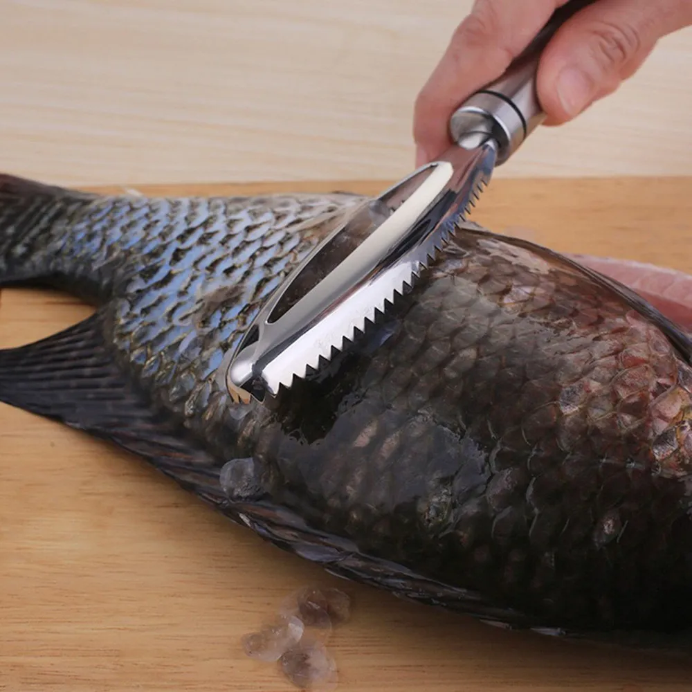 Escamador de Pescado 21 cm de Acero Inoxidable – Quitador de Escamas con Mango Antideslizante