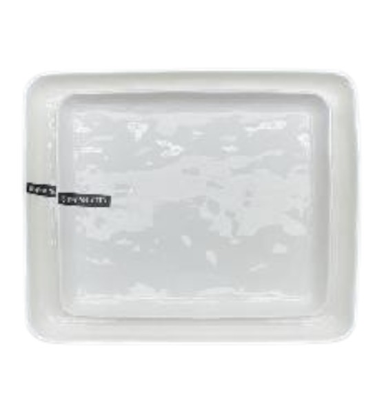 Plato de Porcelana Blanca 28 cm – Ideal para Platos Principales