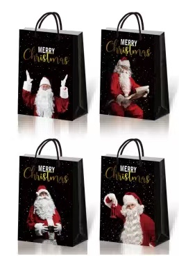 Bolsa de Regalo Navideña con Escarcha 18 x 23 x 8 cm Diseño Brillante