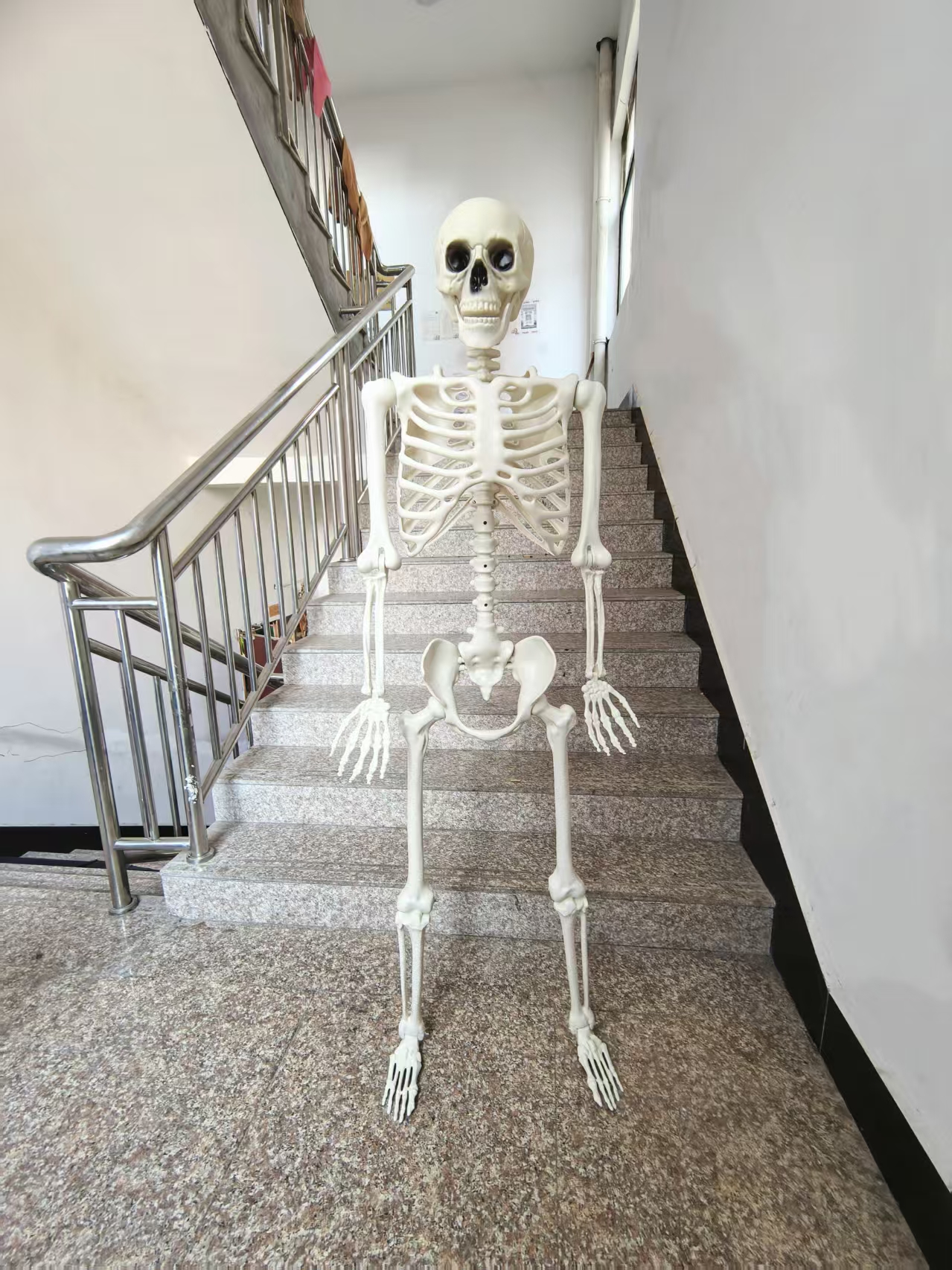 Esqueleto decorativo para Halloween de 165 cm